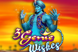 3 Genie Wishes