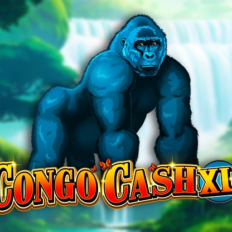 Congo Cash XL