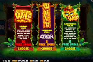 Игрок выбирает одну из трех версий бонусного раунда