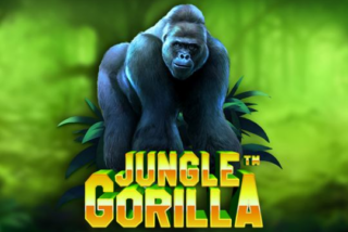 Jungle Gorilla