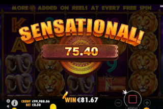 Крупный выигрыш в одном спине с участием вайлда и символов с максимальной выплатой