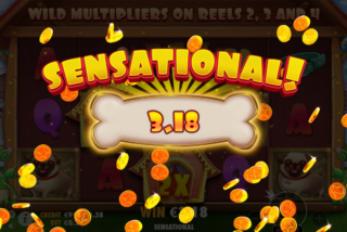 Крупный выигрыш в слоте The Dog House