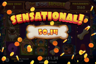 Крупный выигрыш в слоте The Dog House Megaways