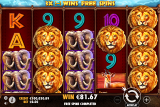 Крупный выигрыш во время бонусного раунда с фриспинами