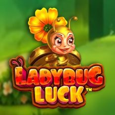 Ladybug Luck