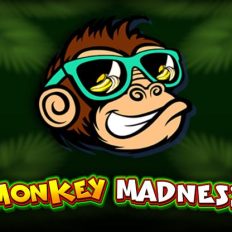 Monkey Madness