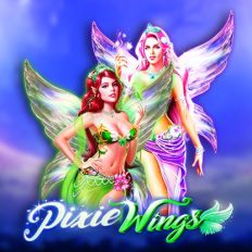 Pixie Wings