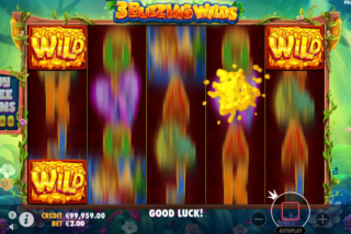 Случайные вайлды — одна из бонусных функций игры