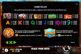 Таблица выплат слота Safari King