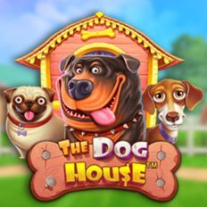 The Dog House