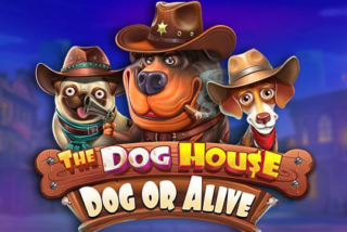 The Dog House Dog or Alive