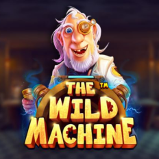 The Wild Machine