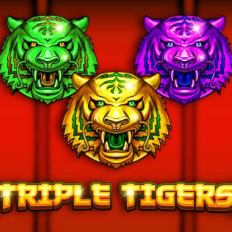 Triple Tigers