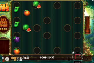 В каждом спине отмечаются новые ячейки